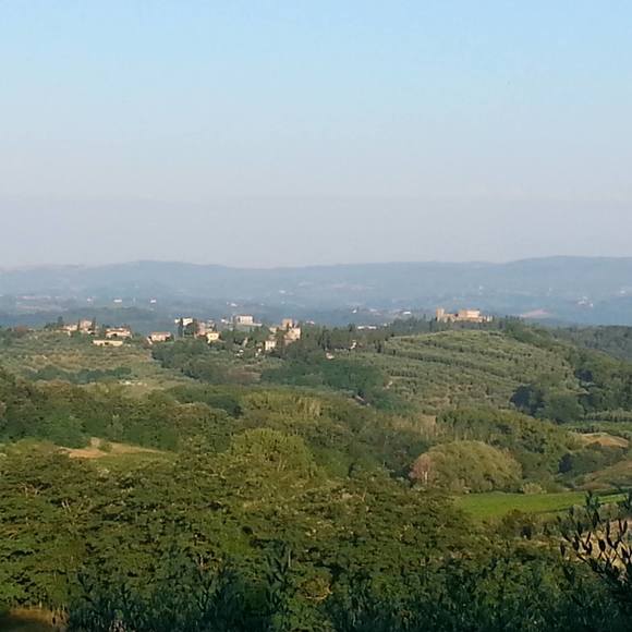 Meet your Posher, Sharon - Picture 1 of 1